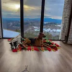 александрова 1 Guest house 3*