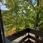 Guest house александрова 1 Zlatograd