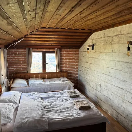 александрова 1 Guest house