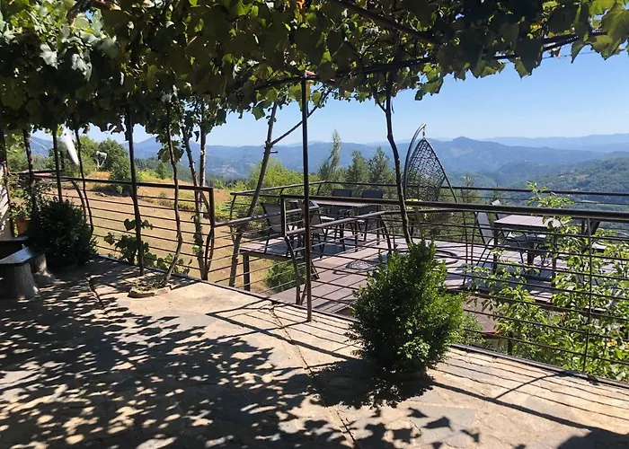 александрова 1