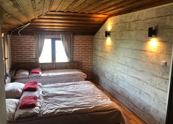 Guest house александрова 1 3*