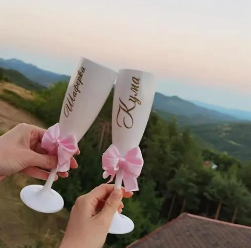 александрова 1 兹拉托格勒