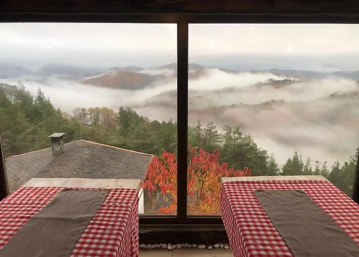 александрова 1