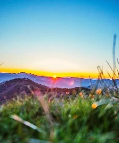 Guest house александрова 1 3*