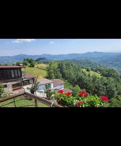 александрова 1 Zlatograd