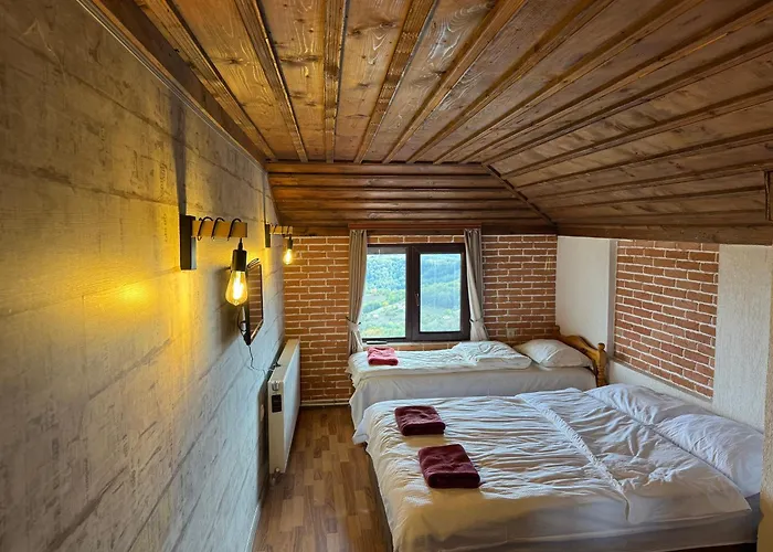 Guest house александрова 1 3*