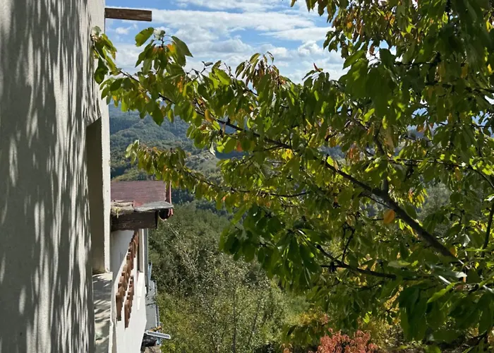 Guest house александрова 1 3*