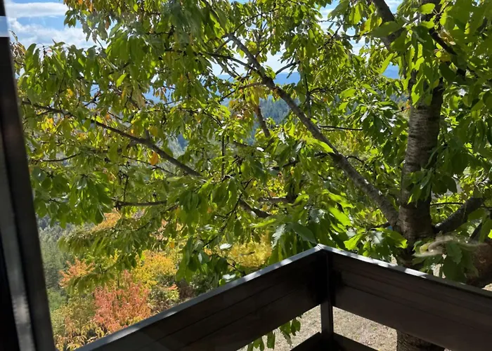 Guest house александрова 1 Zlatograd