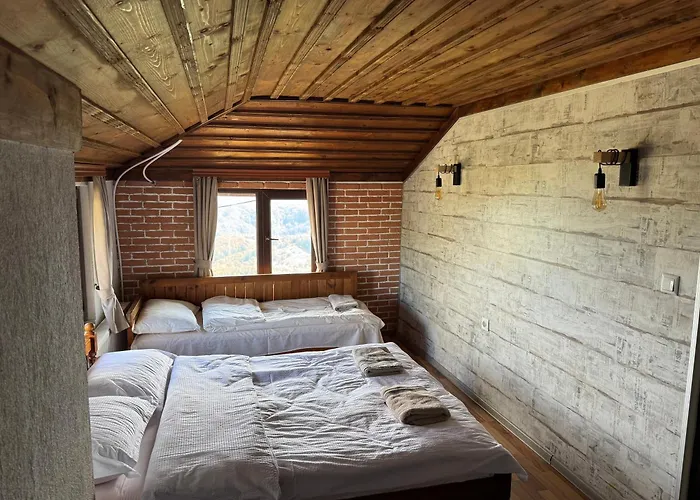 александрова 1 Guest house