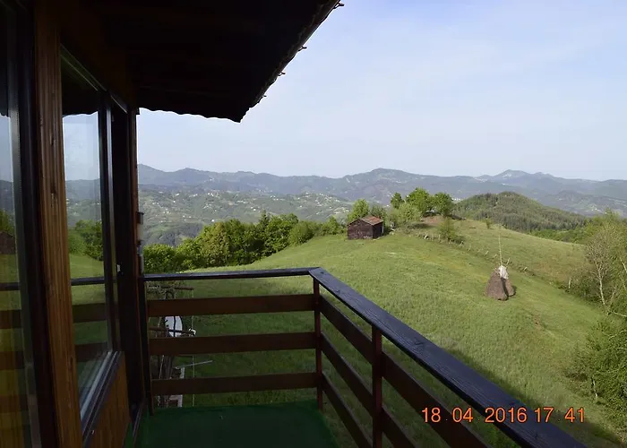 александрова 1 Guest house 3*